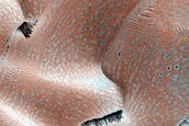 Dune Monitoring in Crater