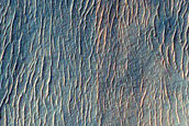 Gullies on Crater Wall