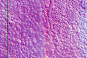 Crater with Steep Slopes