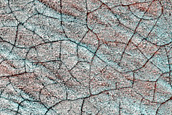 Monitor Perennial Ice Outlier