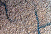 Gully Monitoring