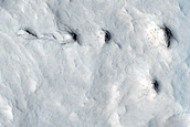 Stratigraphic Architecture of Alluvial Meander-Belt