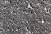 Northern Flank of Alba Mons