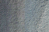 Very Fresh Gullied and Mantled Crater