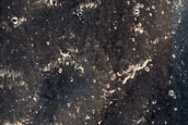 Candidate Recent Impact Site