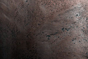 Gullies and Lobes in Crater Frost Monitoring