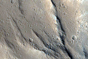 Lycus Sulci
