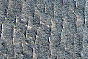 Scalloped Ejecta Margin