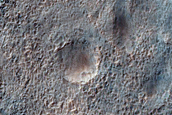 Cluster of Large Secondaries
