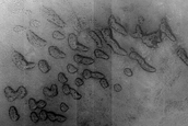 Dune Monitoring in Crater