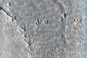 Enigmatic Terrain in Elysium Planitia