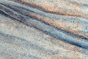 Gully Monitoring