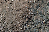 High-Latitude Gullies