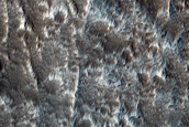 Ascraeus Mons
