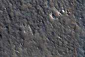 Terrain Sample