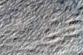 Looking for Gullies