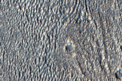 Terrain Sample