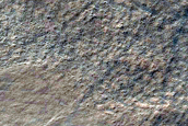 Gullied Crater Wall