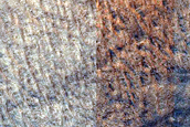 Large Polygons on Hellas Planitia Floor