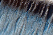Gully Monitoring