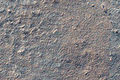 Surface Texture Sample