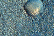 Albedo Monitoring in Arcadia Planitia