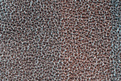 Terrain Sample