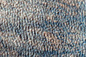 Terrain Sample