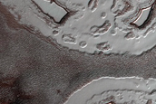 South Polar Residual Cap Intraseasonal Change Monitoring