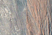 Gullies on Southern Wall of Ross Crater
