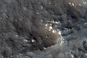 Terrain Sample