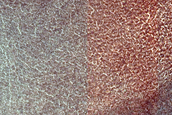 Possible Sedimentary Remnant in Northern Plains