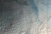 Gully Monitoring