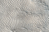 Ridges in  Northeast Nili Fossae