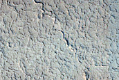 Amazonis Planitia