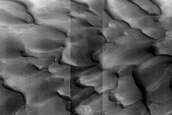 Dune Monitoring in Lyot Crater