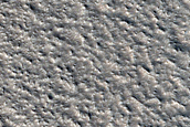 Fractures on the Edge of Alba Mons