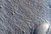 Crater with Hollows in Isidis Planitia