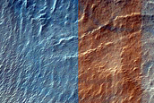 Gully Monitoring