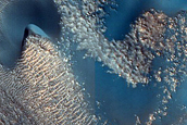 A Diversity of Dunes in Renaudot Crater