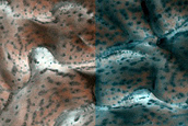 Dune Monitoring in Crater