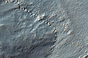 Gullies in Southern Mid-Latitude Crater