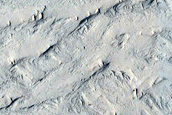 Candidate New Impact Crater