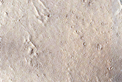 Flow Contact in Elysium Planitia