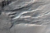 Gully Monitoring