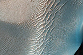 USGS Dune Database Entry Number 3085-489