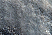Terrain Sample