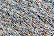 Recent Impact Site