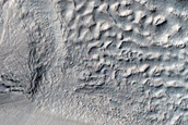 Large Alcove Gully