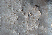 Impact Site Monitoring
